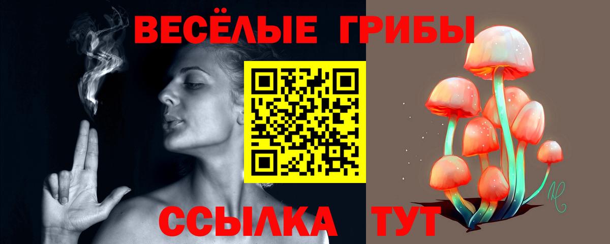 Алапаевск  Псилоцибиновые грибы мицелий  Вход с VPN 